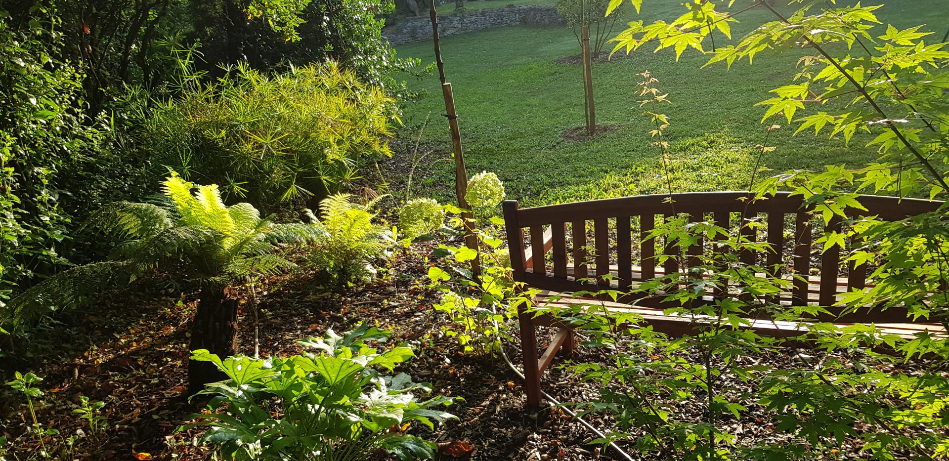 aménagement autour d'un banc